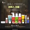 레푸스 범어점 이미지