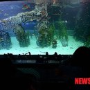 타이어월드뱅크 이미지