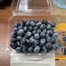 푸른산농원 이미지