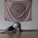 오르아요가 이미지