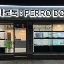 더펫애견샵 네이버블로그