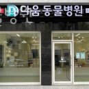 동물병원 다움 이미지