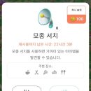 민블룸