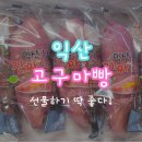 익산 낭산 진짜 고구마빵 &#34;주실래&#34; 내돈내산 후기