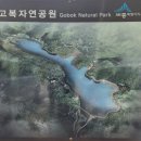 고복자연공원, 정부세청사 옥상정원(2024. 4. 14.) GY & LS 이미지