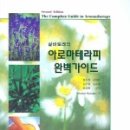 지중해 아로마