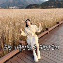 순천만 천문대 화장실 | 12월 순천 가볼만한 곳 순천만습지 갈대 군락지