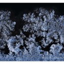 성애농장 이미지