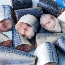 청년고등어 이미지