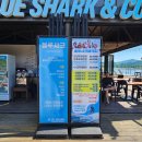 가평해피데이펜션 | 가평 수상레저 빠지 추천 블루샤크 : 펜션정보