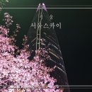 스카이 | 서울 가볼만한 곳 추천 서울스카이전망대 내돈내산 후기
