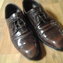 허쉬퍼피 이미지