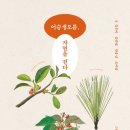 오름미디어 이미지