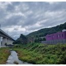 안산 분위기 좋은 맛집 추천 유니스의정원 주차장 안내 및 후기