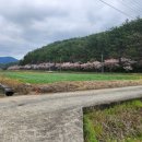 이반성면-7 네이버블로그