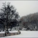 봄비식당 이미지