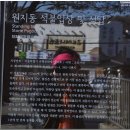 원지동석불입상및석탑 이미지