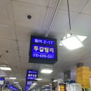 투갈릴리