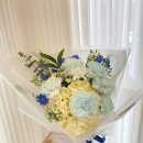 사파동279 이미지