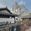 목련을부탁해 이미지