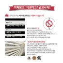 코지2 이미지