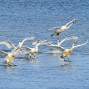 귀거래사 이미지