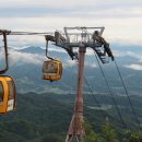 팔공산로 이미지