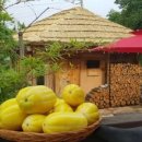 섬진강 찔레꽃 언덕 이미지