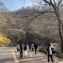 (주)반려동물털로덮인친구들 이미지