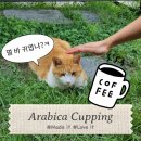 삼부골로 이미지