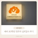 부모양육태도검사 PAT 드림발달심리상담연구소 예비 초5학년 정우의 심리검사 후기
