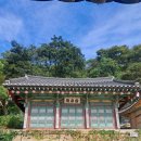 농업회사법인 (주)한국원종 당진농장 | 서산, 당진 내륙 서해랑길