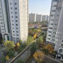 불당한성공인중개사사무소 | 불당동 한성필하우스 80㎡매매 / 기본형, 현 공실로 잔금전 수리기간 가능~~~263