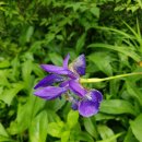 동이공인중개사사무소 이미지