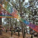 신흥문화공원/충남중 옆 | 익산 신흥근린공원(유아숲체험원 무지개 네트 체험존, 숲놀이터 이용후기, 주차정보)