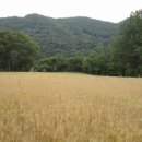 선애농장 이미지