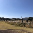 윈윈하우스