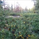 남원읍-12 이미지