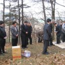 시제 이미지