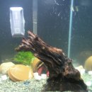 한서아쿠아 이미지