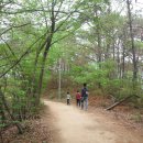 [광주 광산구]광주여대~동자봉(154m)~풍악정~어등산 석봉(338m)~풍악정~동자봉~광주여대 다녀오기(2019/4/21/일 오전) 이미지