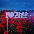 2025 괴산 빨간맛 페스티벌 충북 최대 드론쇼 명당자리 후기