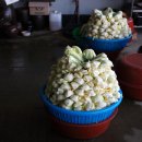 홍성농장 이미지