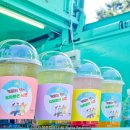 시연유치원 이미지