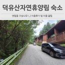 덕유산자연휴양림 | 덕유산자연휴양림 숲속의집 대신 구상나무 숙소 이용 후기 꿀팁