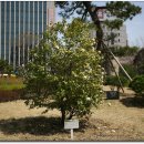 울산시청 이미지