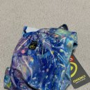 도디치 | 도디치 포일 수영복 002S 프다 머메이드용 수영복 사이즈 및 착샷 후기