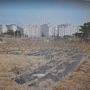 G00128 네이버블로그