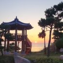 차유횟집