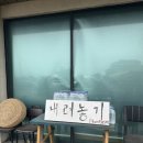 내려놓기펜션 | 제주 동쪽 서귀포 감성숙소 10만원대 가성비 자쿠지 있는 독채펜션 [내려놓기펜션] 내돈내산 솔직후기